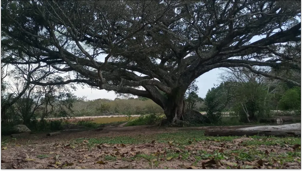 granja-santo-antonio-2